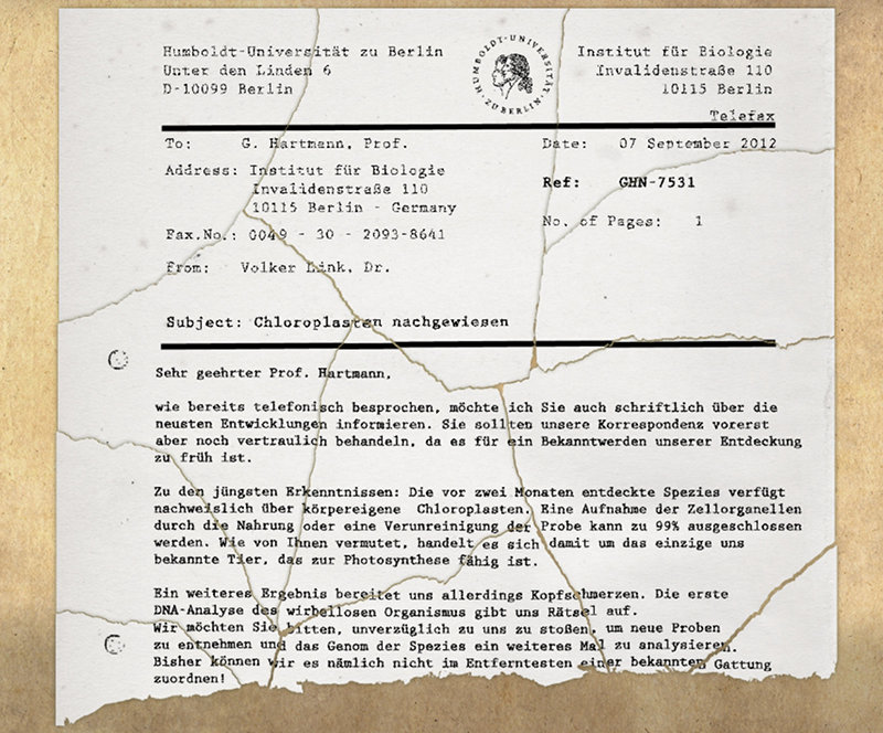 Zusammengesetztes Fax an Professor Hartmann (Geheimakte Sam Peters Screenshot)